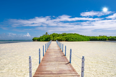 Similar image 21003684