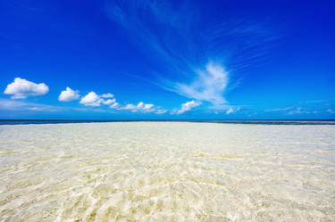 Similar image 21003685