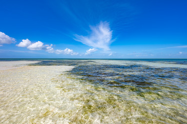 Similar image 20973079