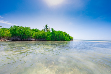 Similar image 20973081