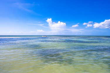 Similar image 20973082