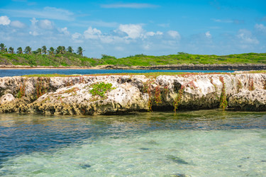 Similar image 20973128