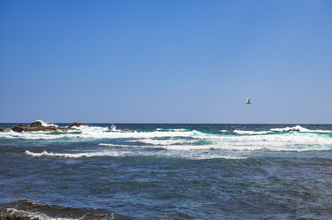 Similar image 20973155