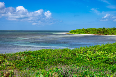 Similar image 20973214