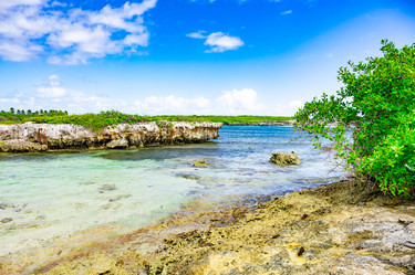 Similar image 20973220