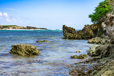 Similar image 20993168