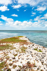 Similar image 20994537