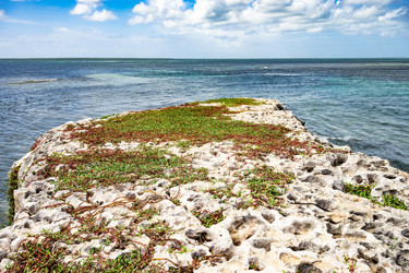 Similar image 20994538