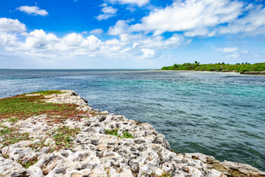 Similar image 20994539