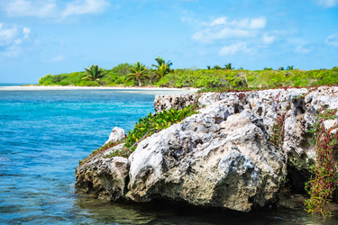 Similar image 20994547