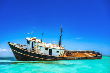 Similar image 21001229