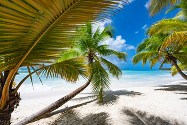 Similar image 20975608