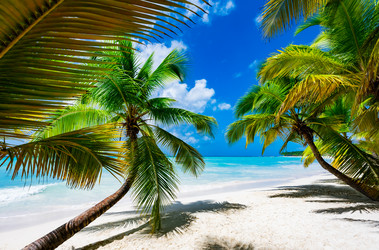 Similar image 20975609