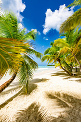 Similar image 20975610