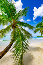 Similar image 20975611