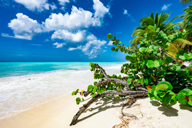 Similar image 20975612