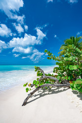 Similar image 20975613