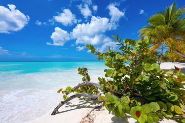 Similar image 20975614