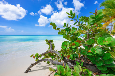 Similar image 20975615