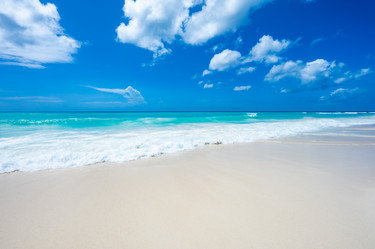 Similar image 20975910