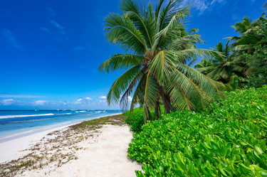 Similar image 20991575