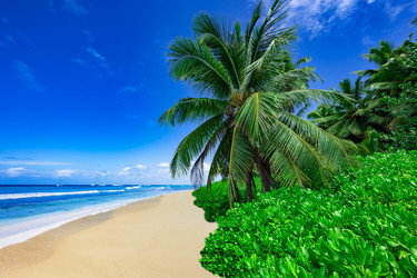 Similar image 20991576