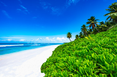 Similar image 20991577