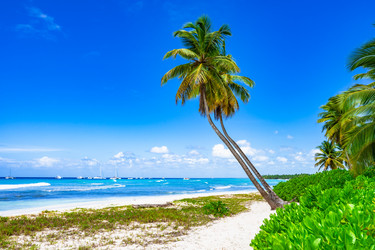 Similar image 20992890