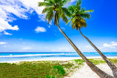 Similar image 20992891