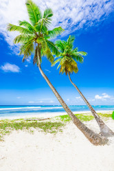 Similar image 20993181