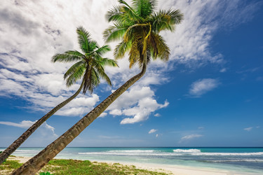 Similar image 20993183