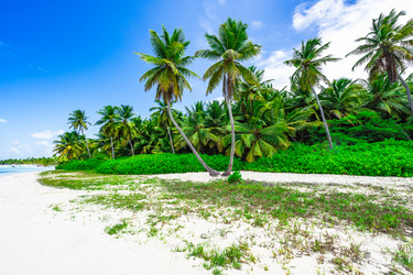 Similar image 20993188