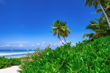 Similar image 20993190