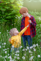 Similar image 20978742