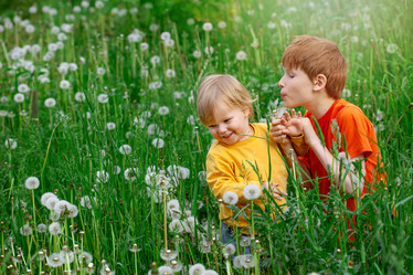 Similar image 20978745