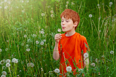 Similar image 20978980