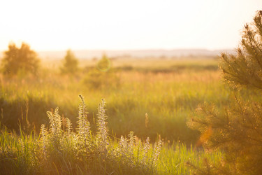 Similar image 20982719