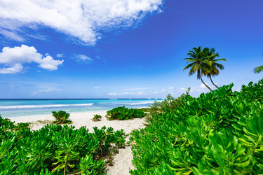 Similar image 20973255