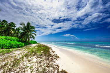 Similar image 20973256