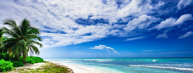 Similar image 20973257