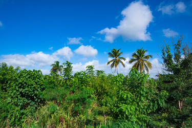 Similar image 20975486