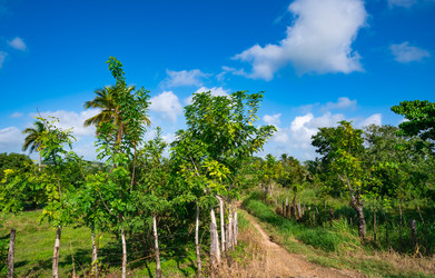 Similar image 20975487