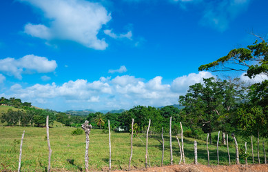 Similar image 20975488