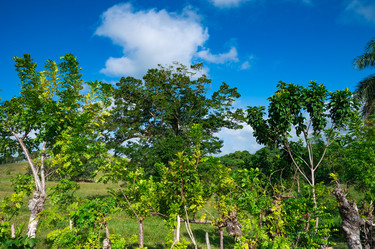 Similar image 20975489