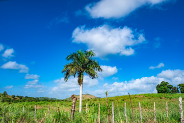 Similar image 20975490