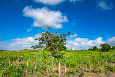 Similar image 20975491