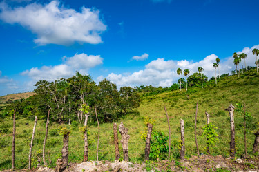 Similar image 20975493