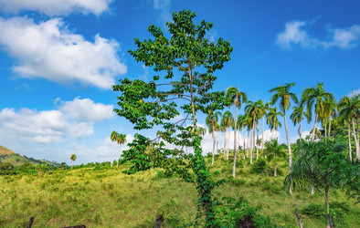 Similar image 20975495