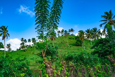 Similar image 20975623