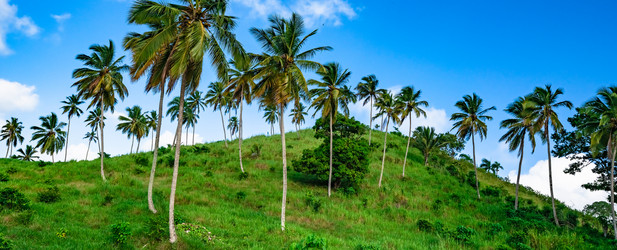 Similar image 20975624